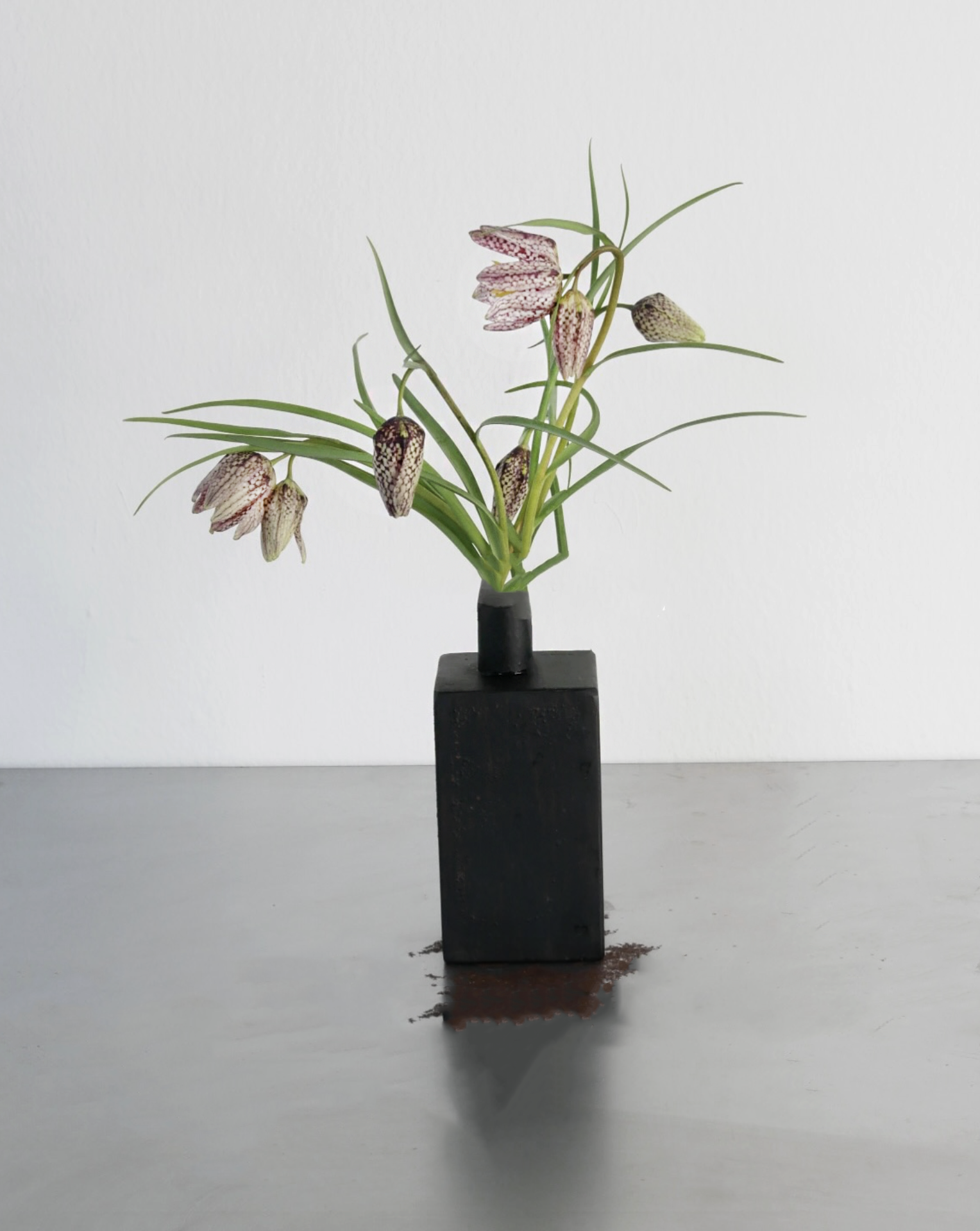 snake’s-head fritillary · spring