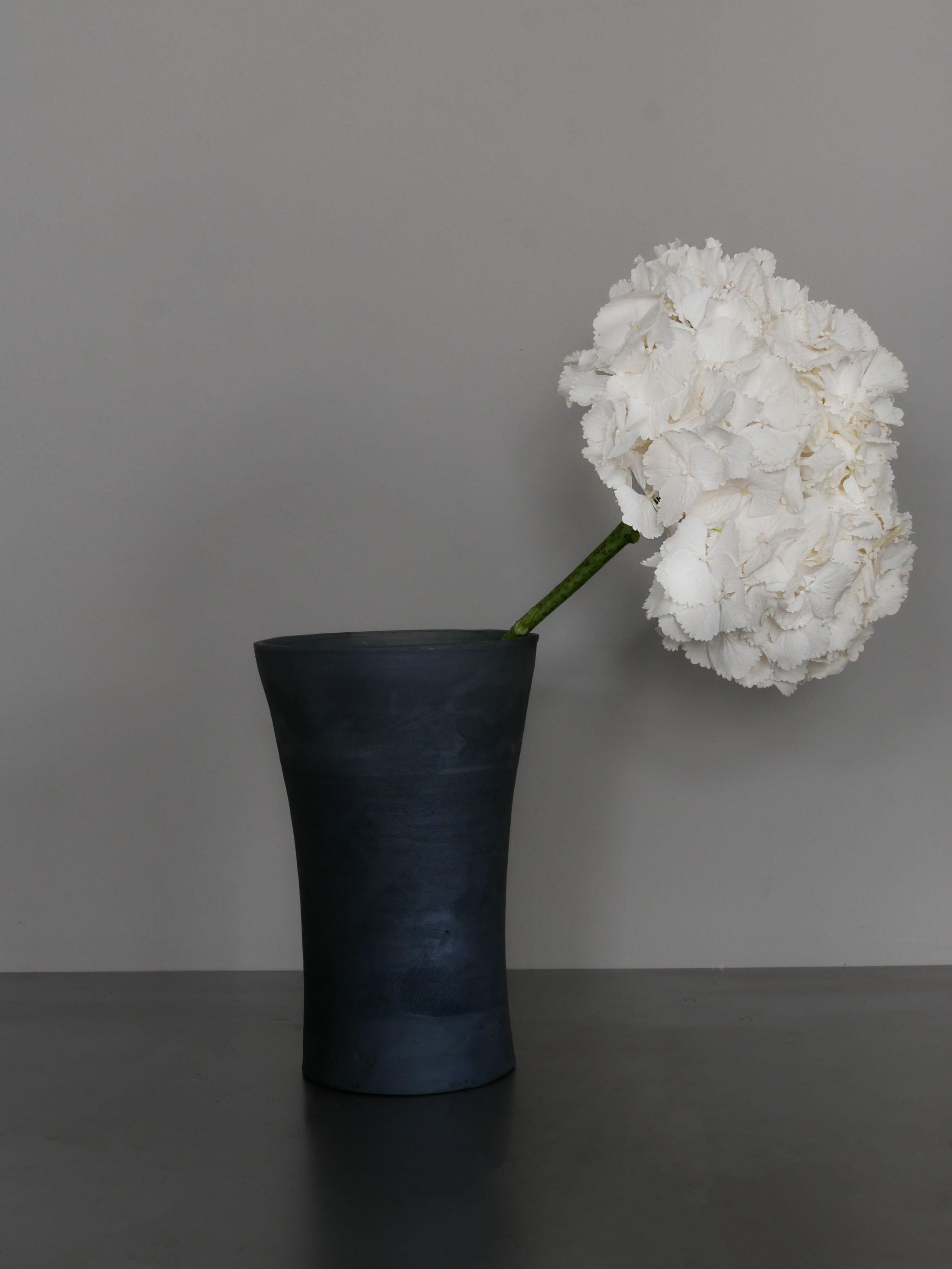 hydrangea, white · one gesture