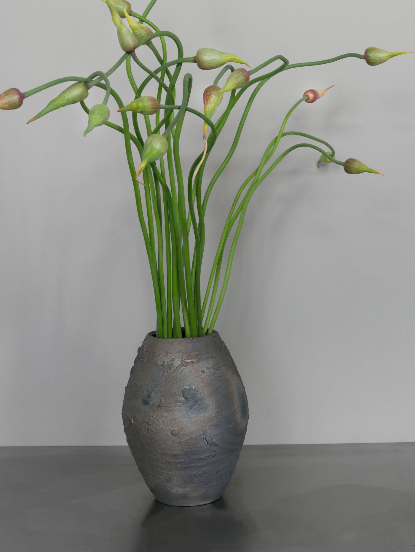 garlic scape · the vessel carries