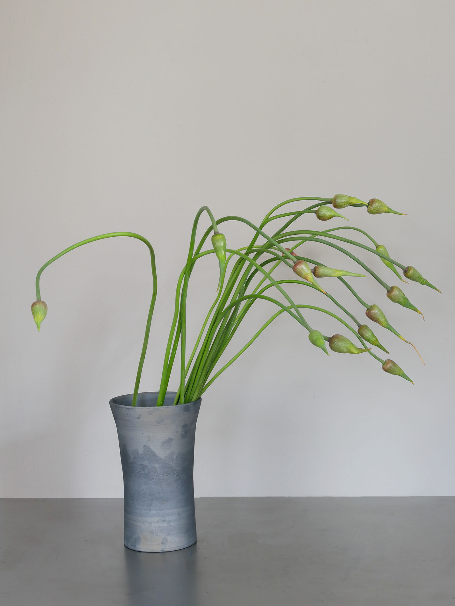 garlic scape · another vessel