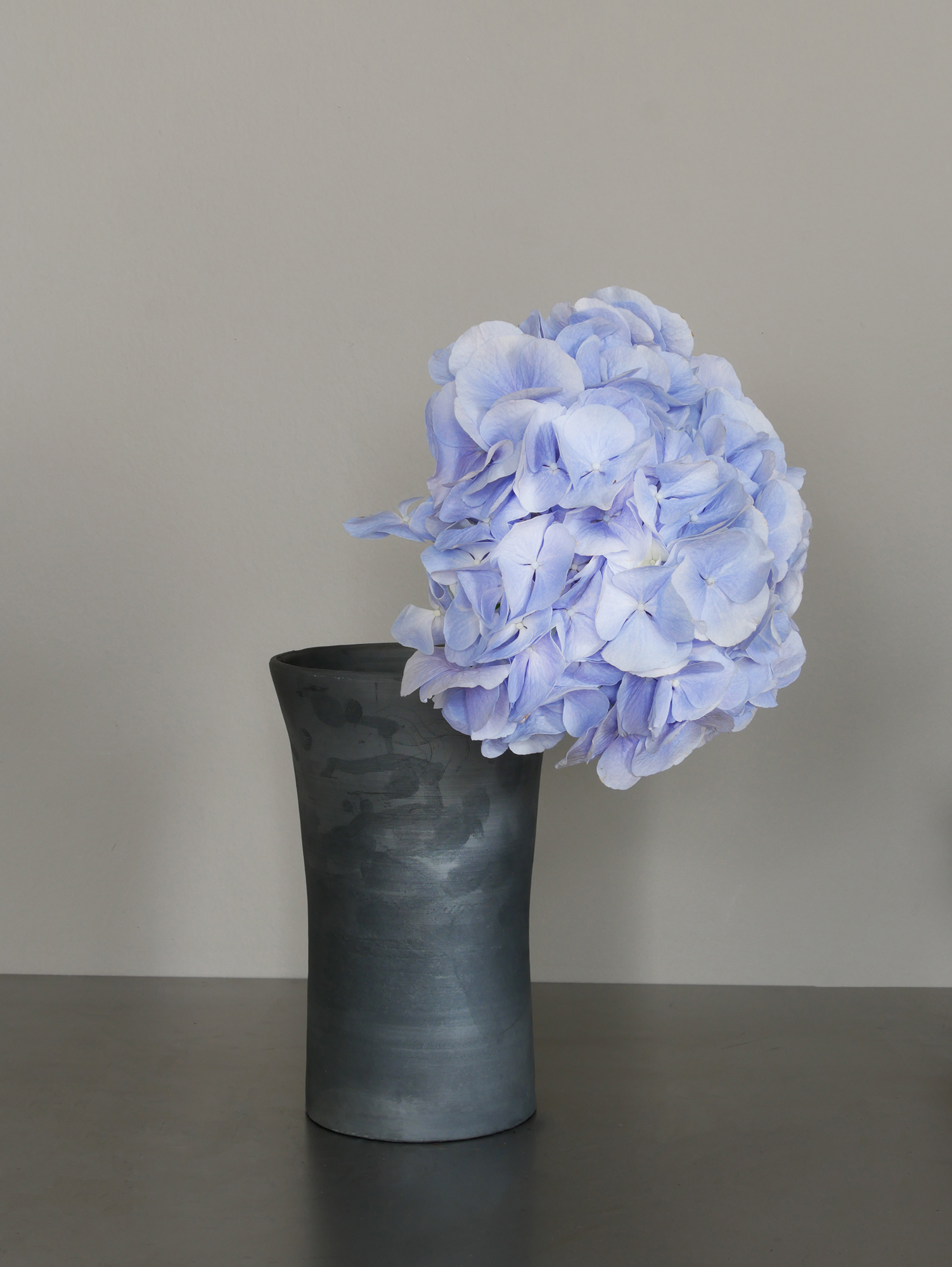 hydrangea, blue · the detail