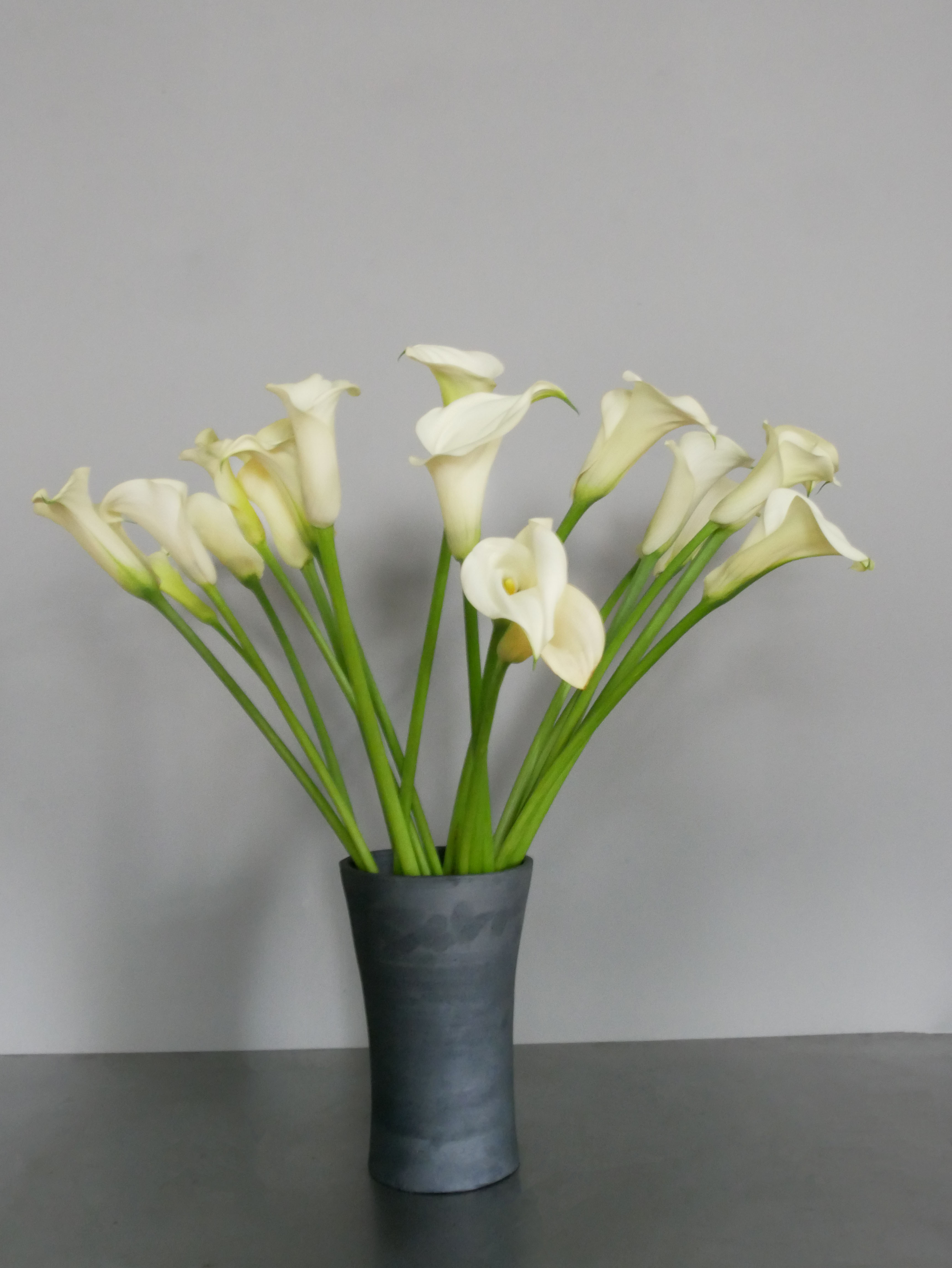 callas · in a GAR vessel